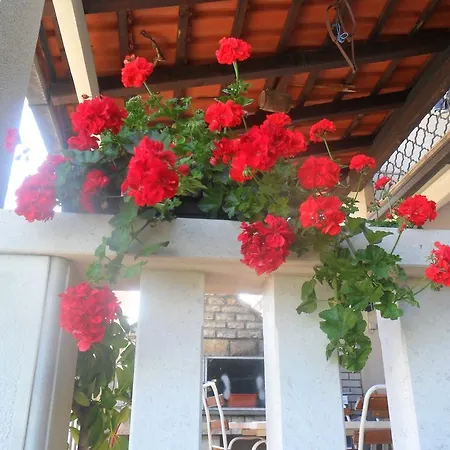 Apartment Markic